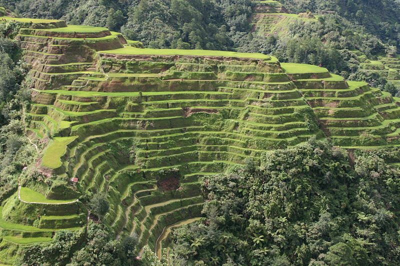 filipiny-banaue